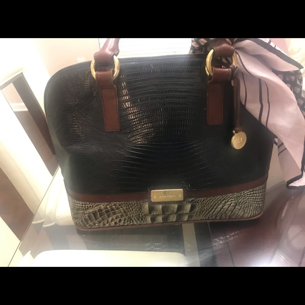 Brahmin black / try color